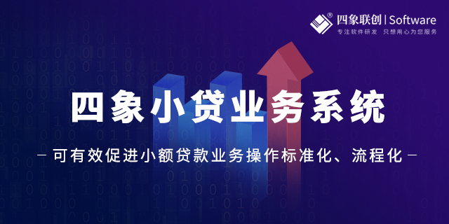 小額貸款業(yè)務綜合管理系統(tǒng).png