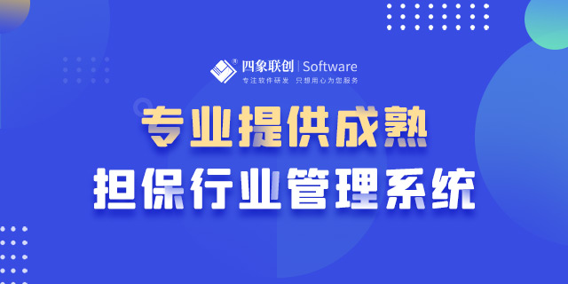 融資性擔保管理系統